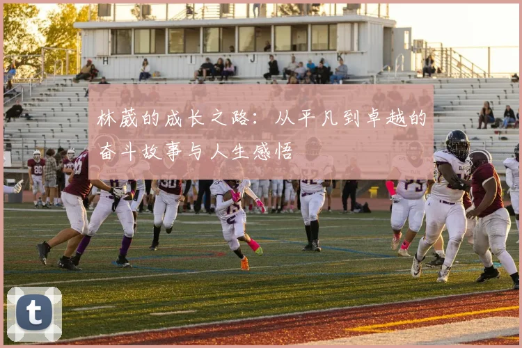 林葳的成长之路：从平凡到卓越的奋斗故事与人生感悟
