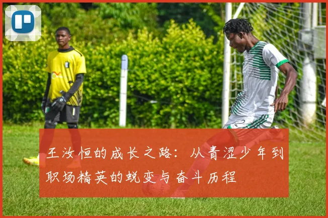 王汝恒的成长之路：从青涩少年到职场精英的蜕变与奋斗历程